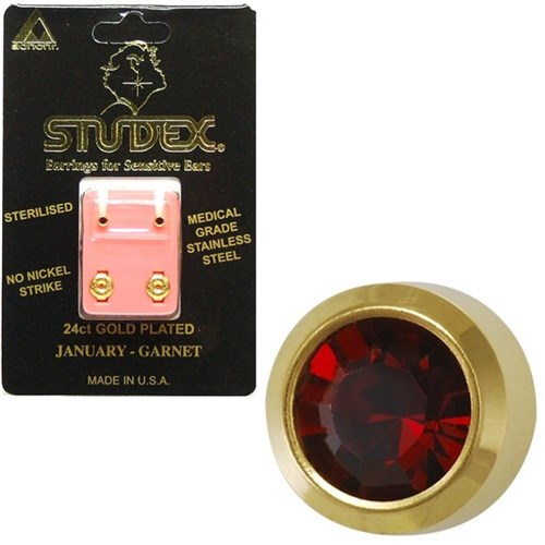 Birthstone Studs - Mini Bezel Gold - January / Garnet